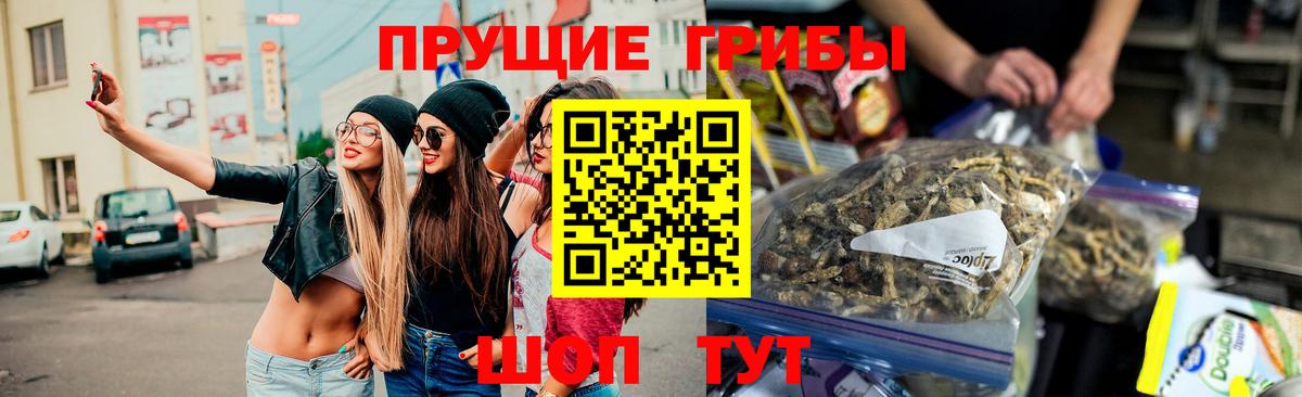 Псилоцибиновые грибы GOLDEN TEACHER  Вход с VPN  Нурлат  Галлюциногенные грибы MAGIC MUSHROOMS 